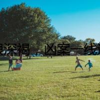 貓眼深褐，兇案一線追蹤