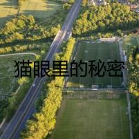 貓眼里的秘密