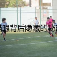 貓眼背后隱藏的秘密