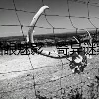 貓眼魅影，奇異謎案