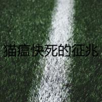 貓瘟快死的征兆