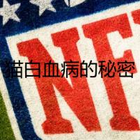 貓白血病的秘密