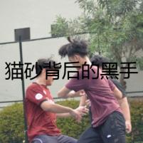 貓砂背后的黑手