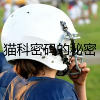 貓科密碼的秘密