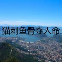 貓刺魚骨奪人命