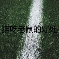 貓吃老鼠的好處