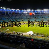 貓咪的呼吸：隱藏的死亡預(yù)兆