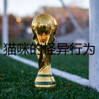 貓咪的怪異行為