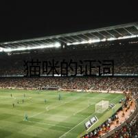 貓咪的證詞