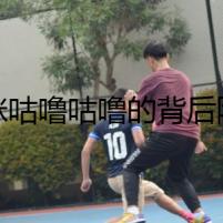 貓咪咕嚕咕嚕的背后隱藏著什么