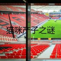 貓咪產(chǎn)子之謎