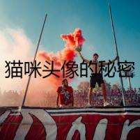 貓咪頭像的秘密