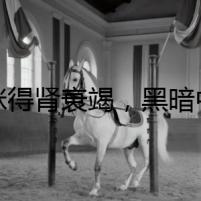 貓咪得腎衰竭，黑暗中的救贖