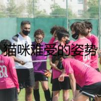 貓咪難受的姿勢(shì)