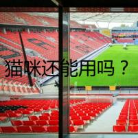 貓咪還能用嗎？