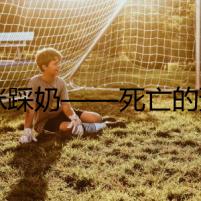 貓咪踩奶——死亡的預(yù)兆