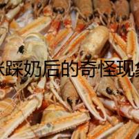 貓咪踩奶后的奇怪現(xiàn)象：詭異的幻象