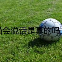 貓會說話是真的嗎？