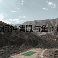 貓為何鐘情鼠與魚：迷霧中的秘密