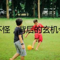 貓不怪，背后的玄機(jī)令人驚恐