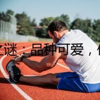 貓之謎：品種可愛，價格低廉，卻又暗藏玄機