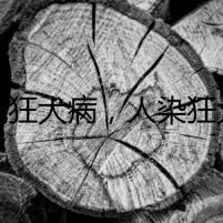 貓無狂犬病，人染狂犬魂