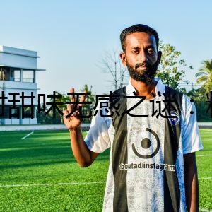 貓對甜味無感之謎：糖果盒里的機(jī)密