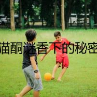 貓酮謎香下的秘密