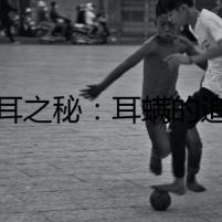 貓耳之秘：耳螨的追蹤