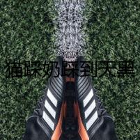 貓踩奶踩到天黑