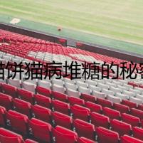 貓餅貓病堆糖的秘密