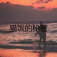 貓飯的秘密