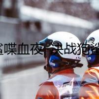 貓鯊喋血夜: 決戰(zhàn)狗鯊兇暴灣