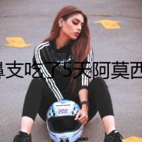 貓鼻支吃了5天阿莫西林，女主人突然失蹤