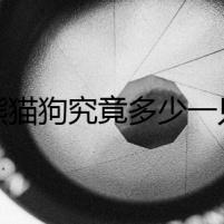 熊貓狗究竟多少一只