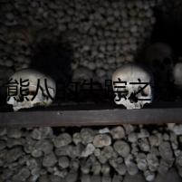 熊八的失蹤之謎