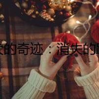 愛(ài)犬的奇跡：消失的蹤跡