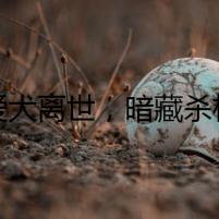 愛犬離世，暗藏殺機(jī)