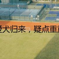 愛犬歸來，疑點重重