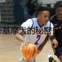 愛斯基摩犬的秘密日記：活多久的背后
