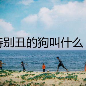 特別丑的狗叫什么？