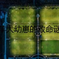 牧羊犬幼崽的致命謎題
