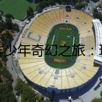 牧羊少年奇幻之旅：現(xiàn)實(shí)還是幻覺(jué)？