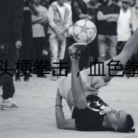 牛頭梗拳擊，血色拳臺(tái)