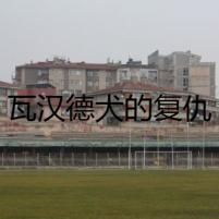瓦漢德犬的復(fù)仇