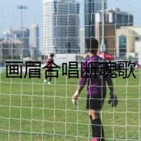 畫(huà)眉合唱斷魂歌