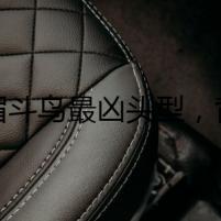 畫眉斗鳥最兇頭型，背后的陰謀