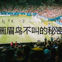 畫眉鳥不叫的秘密