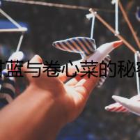 甘藍(lán)與卷心菜的秘密