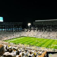 田園貓的異常妊娠